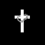 RandomGuy6052 member profile picture