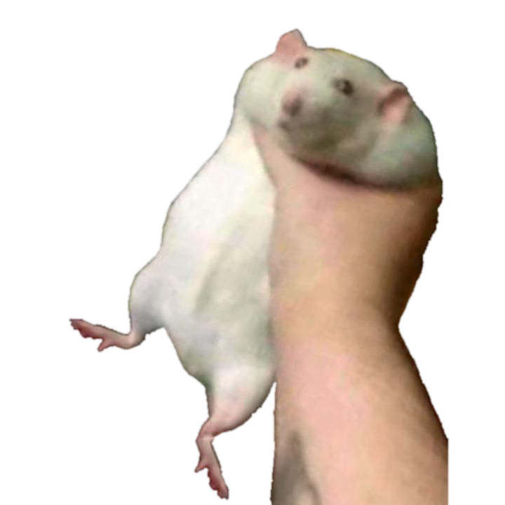 Fat Rat Totem of Undying