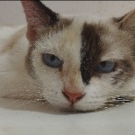 yeremi member profile picture