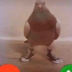 YTTecno member profile picture