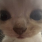View elonck's Profile