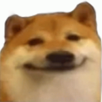 ReiRei363 member profile picture