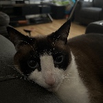 user_m4ownc65jr6fa4re member profile picture