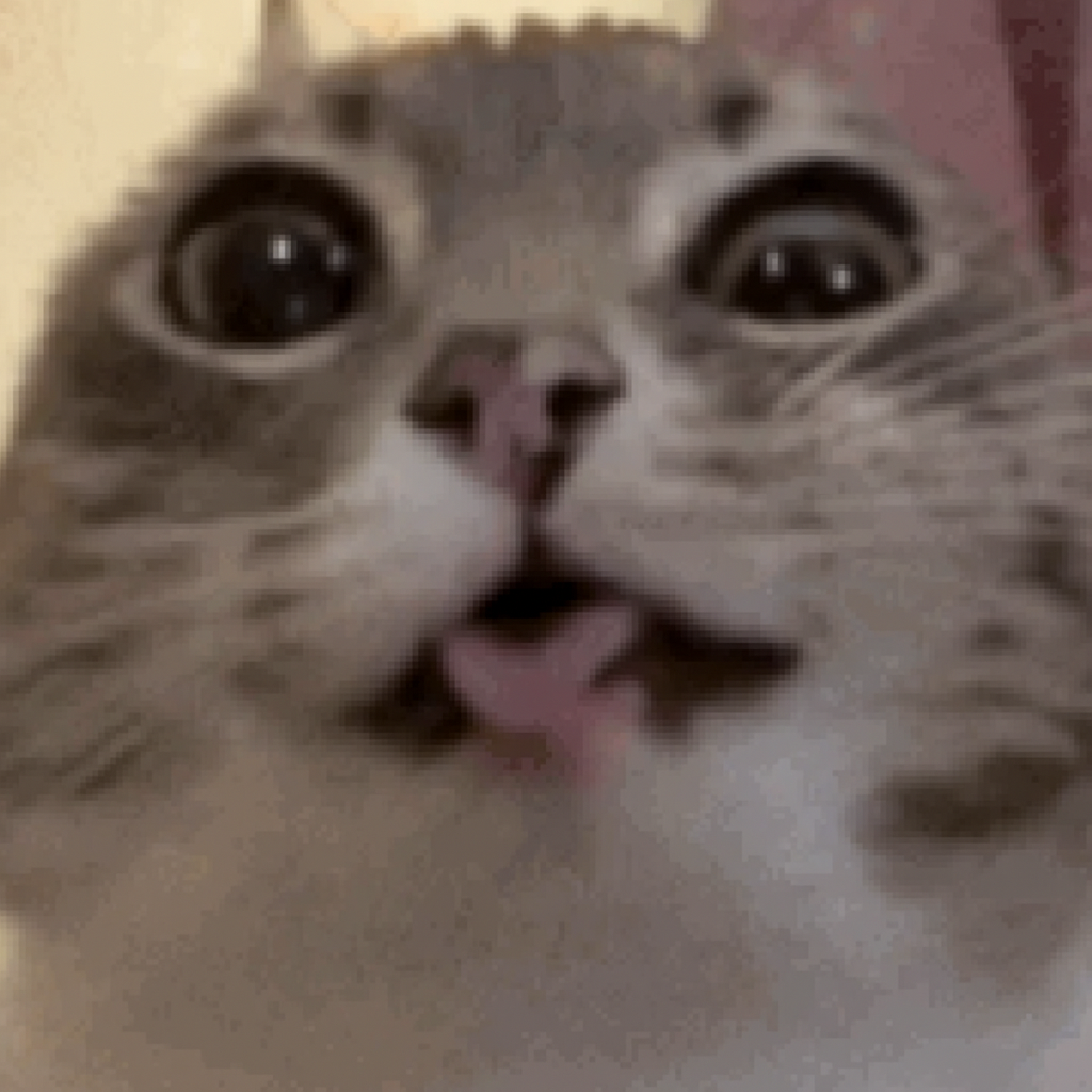 The Undying Cat