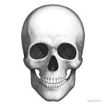 GreeN_SkeletoN
