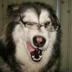 thee_mo0n member profile picture