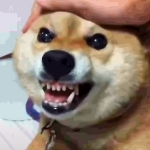 Tibonator