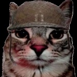 Smarter_Gamer member profile picture