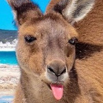Sothera member profile picture