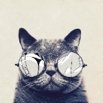 Stefan77523 member profile picture