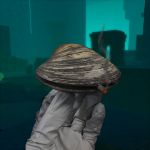 ArchSerf member profile picture