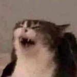 Timon643 member profile picture