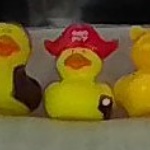 Mrduckilng1 member profile picture