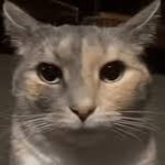 ProGamer0126 member profile picture