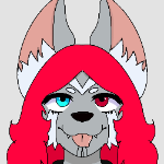 motorgears member profile picture