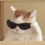 pokeDINO13 member profile picture