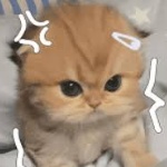 iEatHardees member profile picture