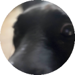 Fel1neFr3nzy