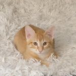 m335 member profile picture
