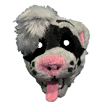 GizmoTheFerret member profile picture