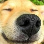 TheCriss47 member profile picture