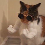 Bufffur member profile picture