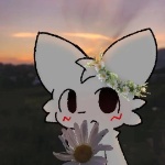 augel member profile picture
