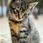 View GiddyBloom's Profile