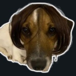 SignorRussell member profile picture