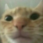 user-128541837