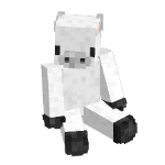kowd