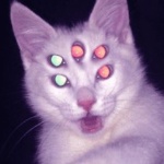 RosarioMP member profile picture