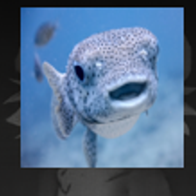 aquaacrobaticslegacy logo