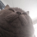 m8l8tx member profile picture