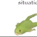 emergencyfrog member profile picture
