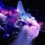 Guy_Lektor member profile picture