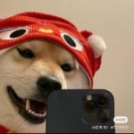 Otaku_50 member profile picture