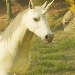 User11222 member profile picture