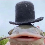 susarik member profile picture
