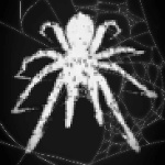 ASTAX member profile picture