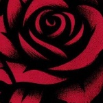 MrMaike member profile picture