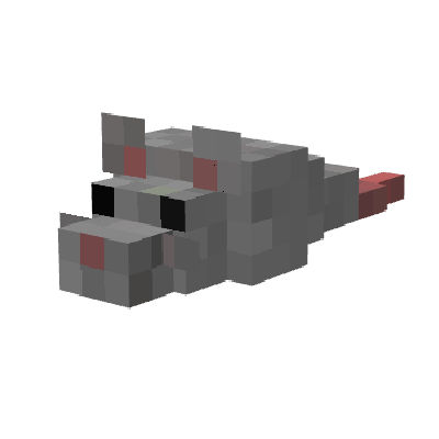 RATS!?