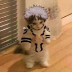 LCW_IDK1 member profile picture