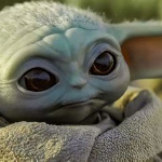 lePeanut member profile picture