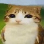 Goatmangold member profile picture