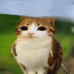 verklempt member profile picture
