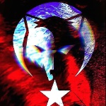 starrbigger member profile picture