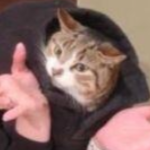 MysticByte member profile picture