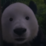 hairyweatherfinkle member profile picture
