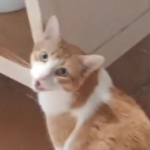 LiminalDude1989 member profile picture